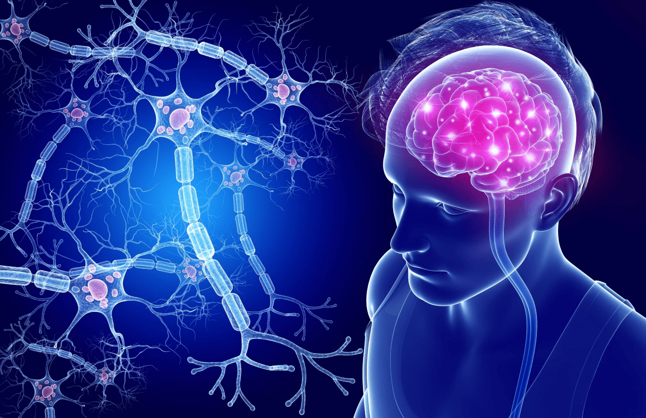 Нейрогенез. Как сохранить здоровье мозга?
