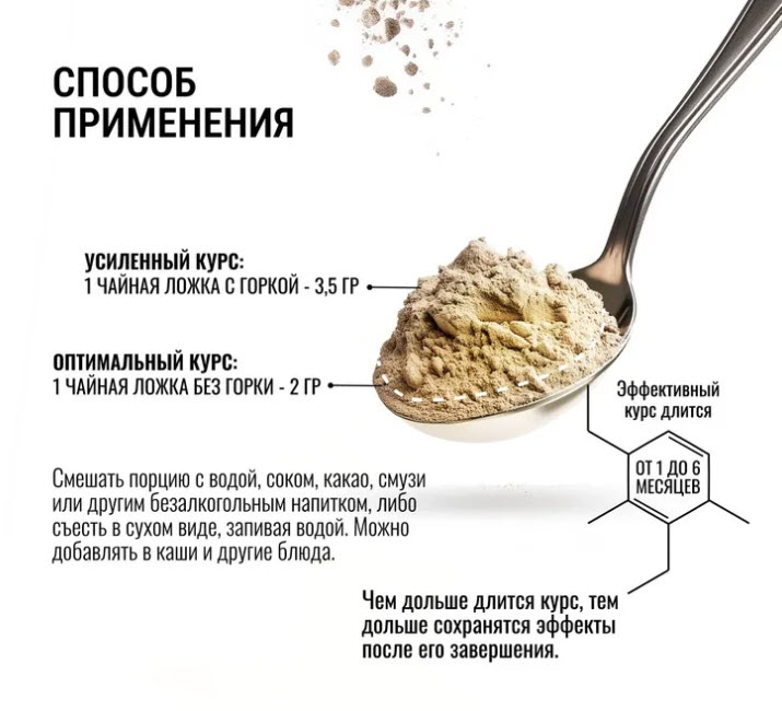 Мицелий ежовика гребенчатого