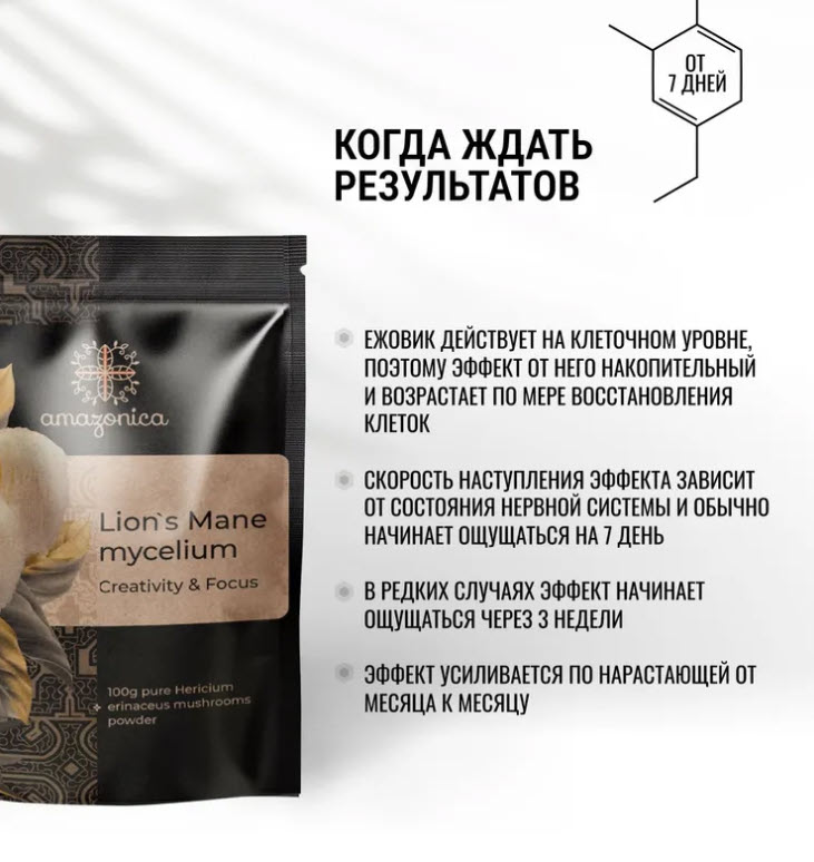 Мицелий ежовика гребенчатого