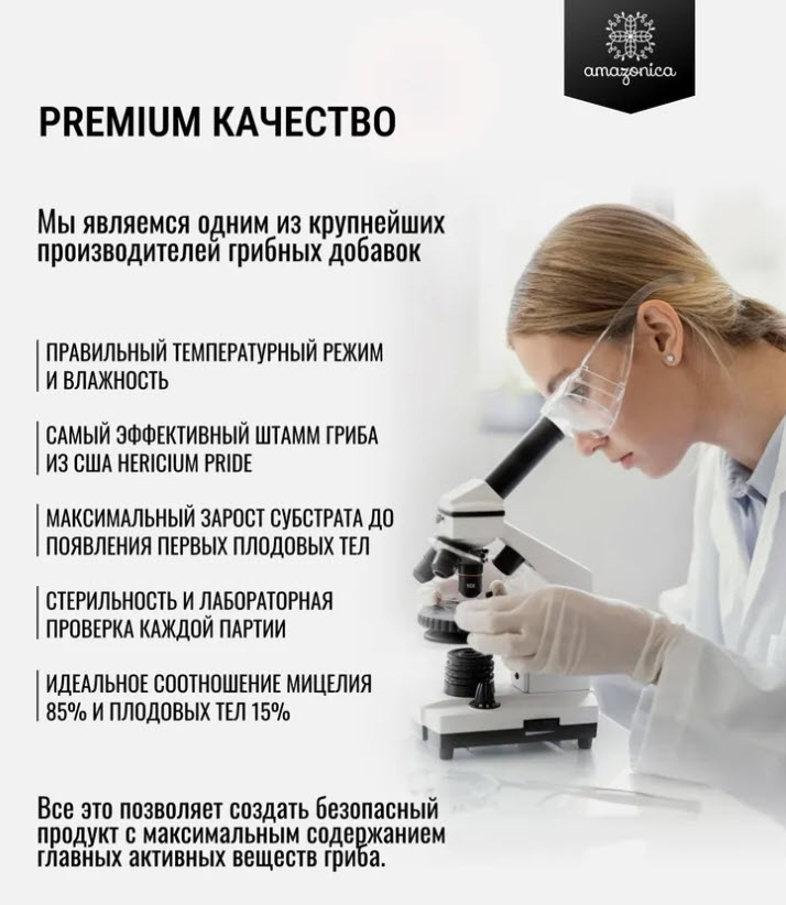 Мицелий ежовика гребенчатого