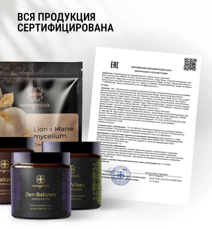 Мицелий ежовика гребенчатого