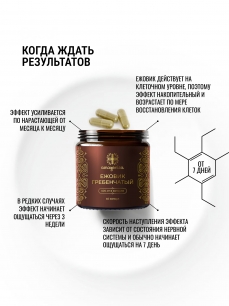 Ежовик гребенчатый, экстракт 3%