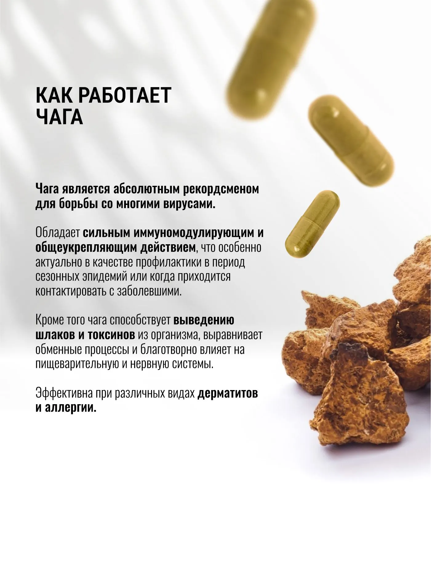 Экстракт Чаги