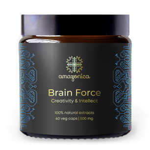 Brain Force фото