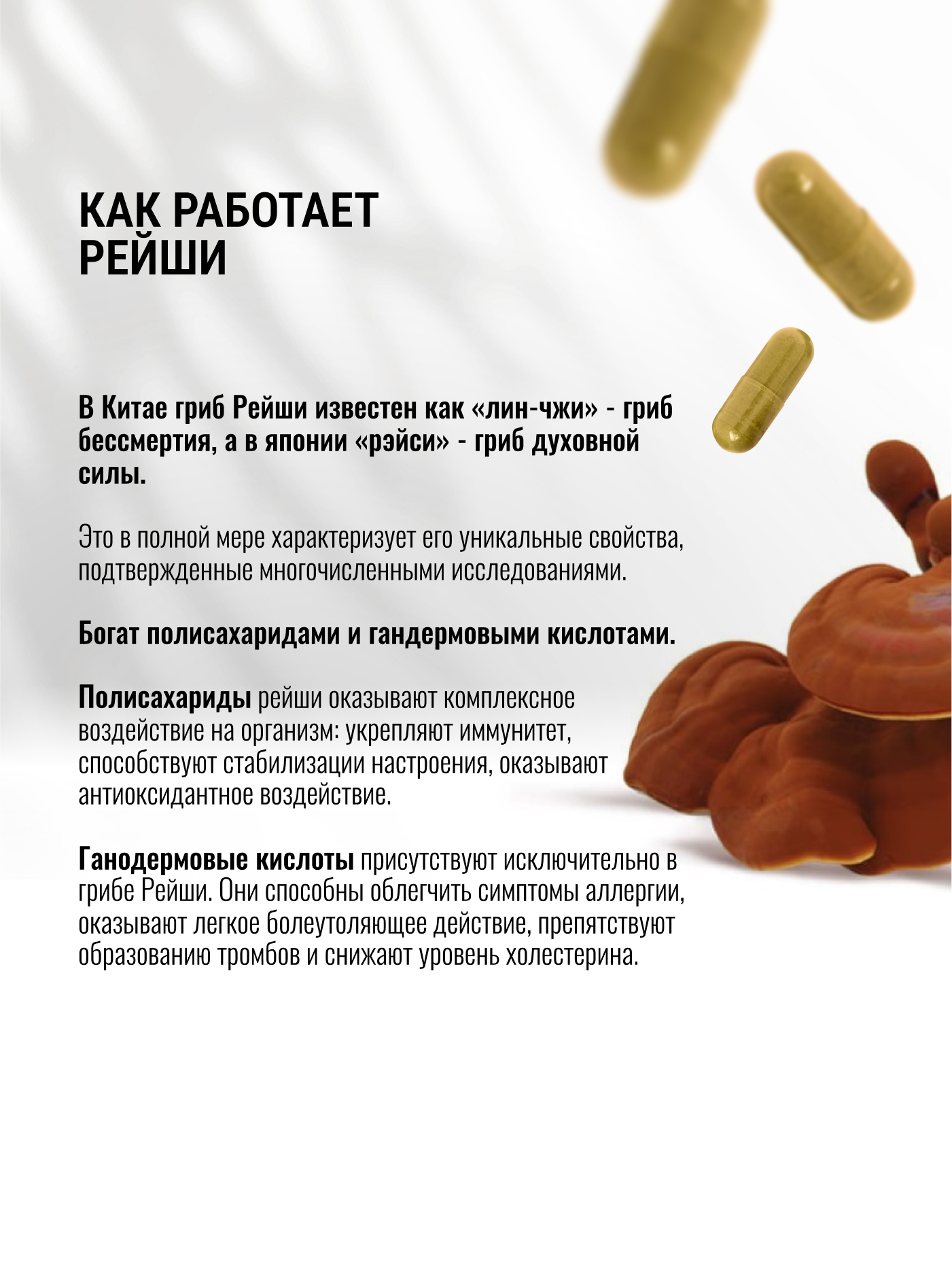 Экстракт Рейши