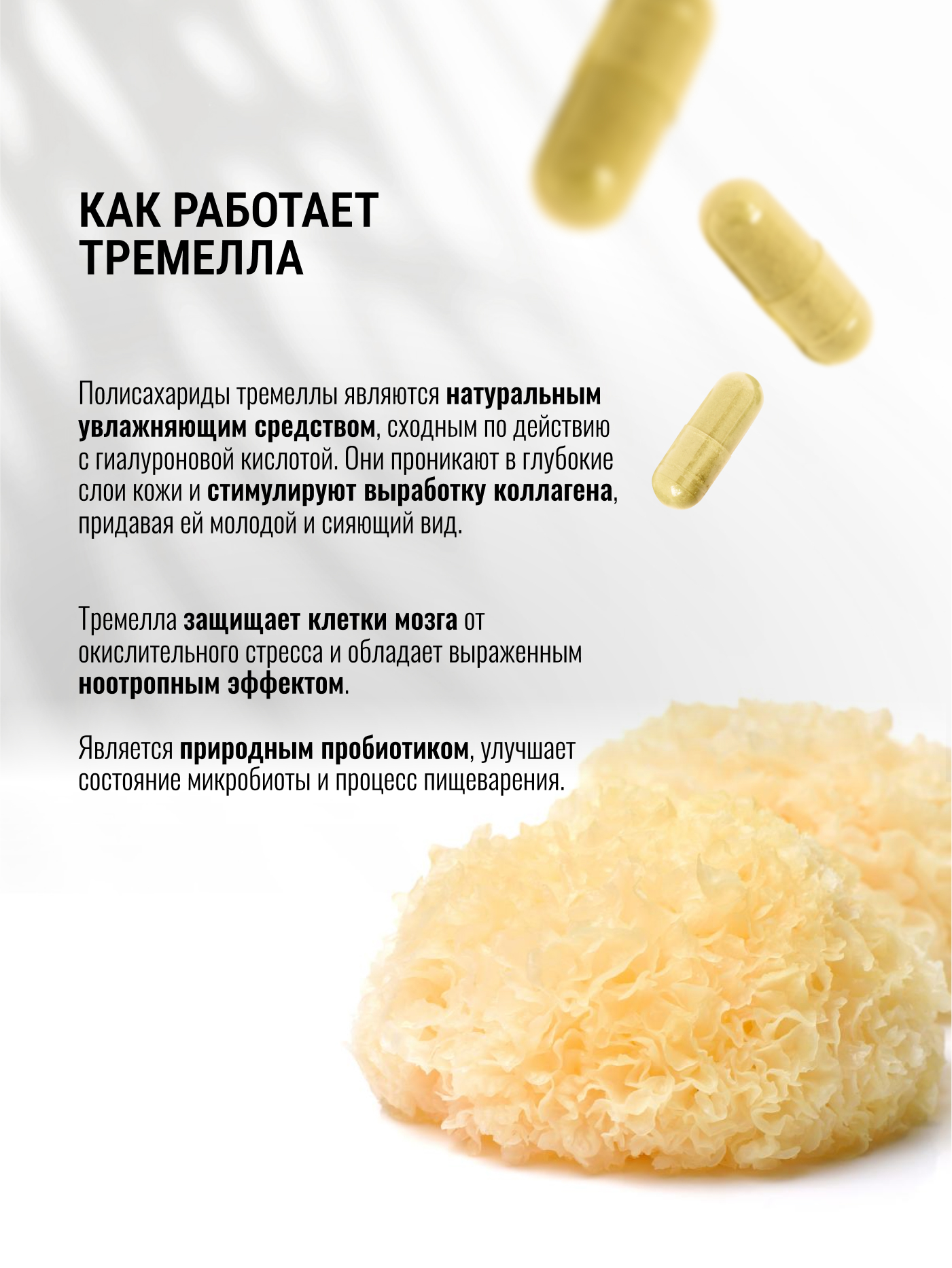 Экстракт Тремеллы