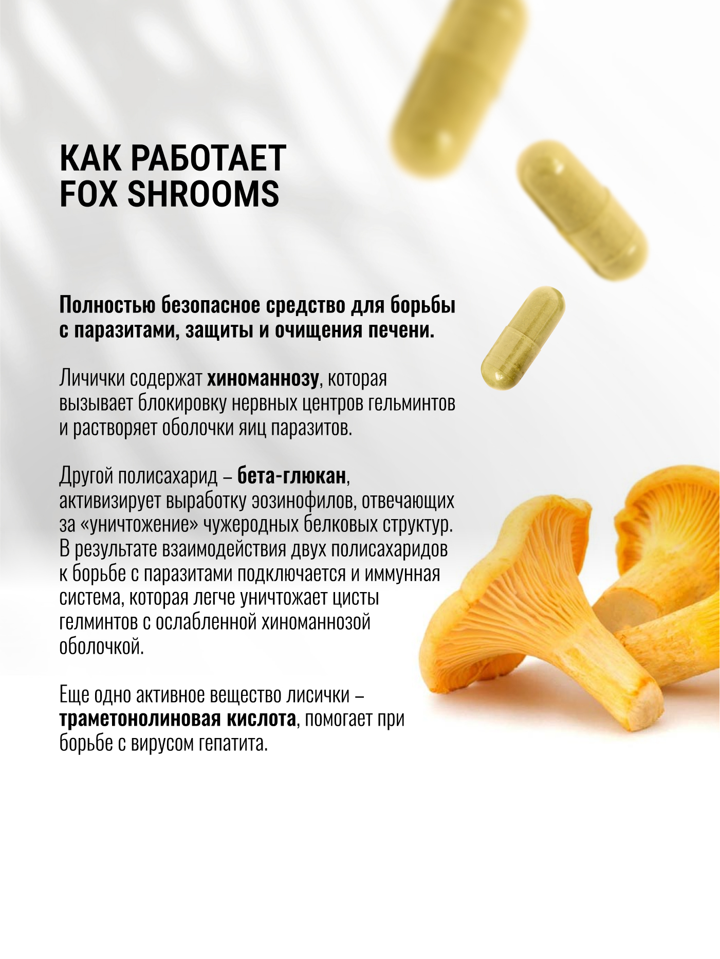 Экстракт Лисичек