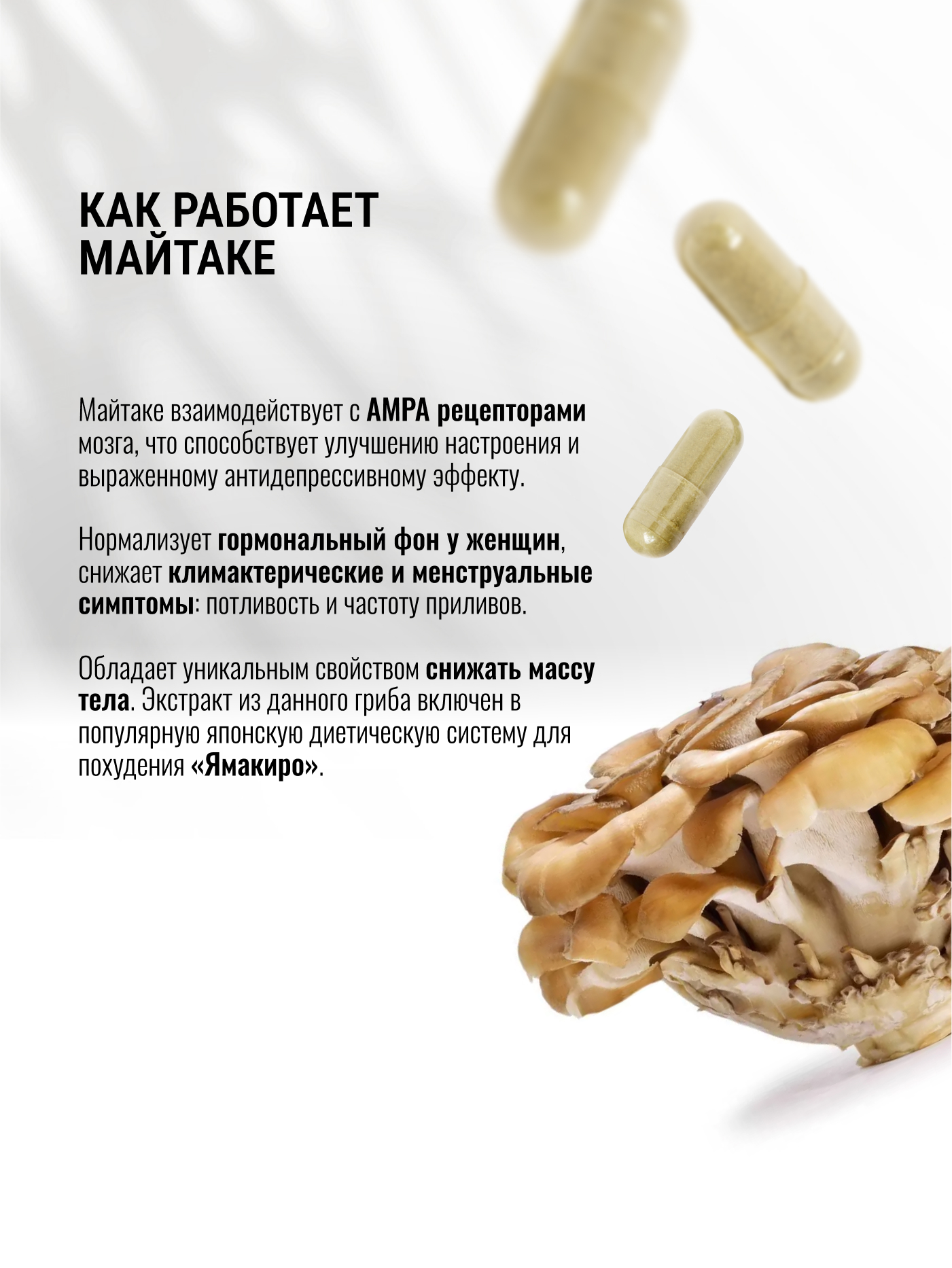 Экстракт Майтаке