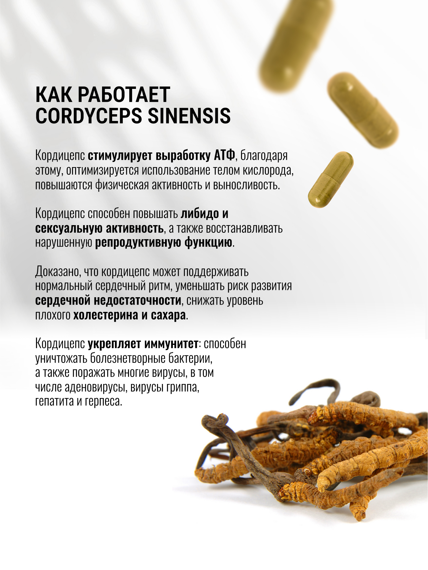 Экстракт Кордицепса