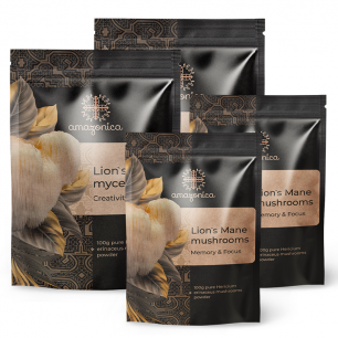 2х Ежовик гребенчатый мицелий 100 g + 2х Ежовик гребенчатый порошок плодовых тел 100 g фото