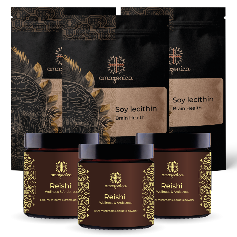 Рейши 60 капсул по 600 mg  3 шт + Соевый лецитин 3 шт