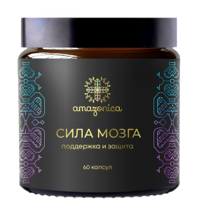 Сила мозга фото