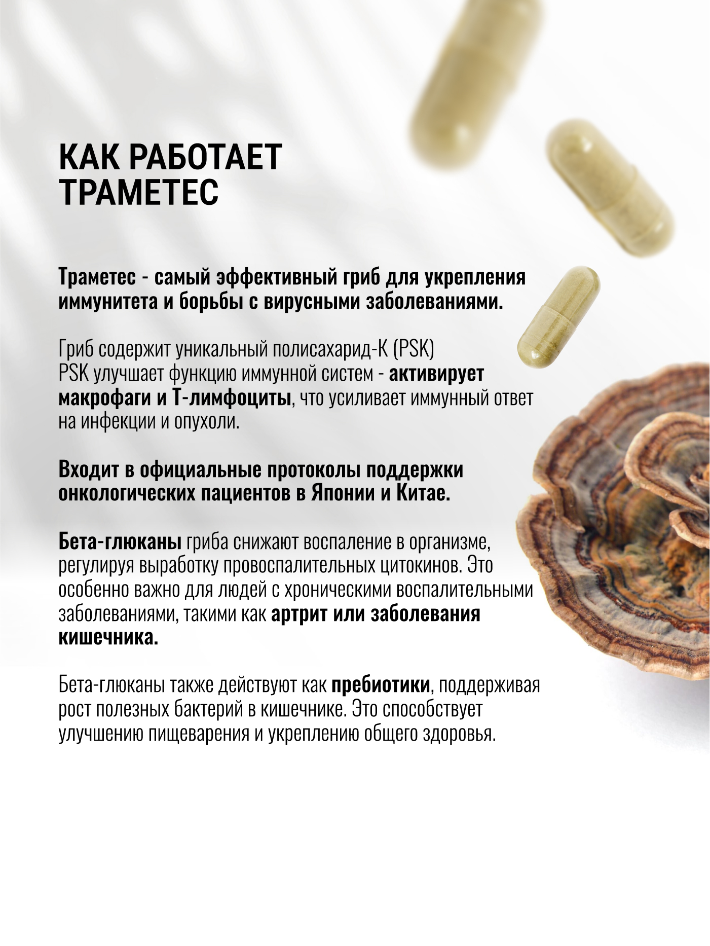 Экстракт Траметеса