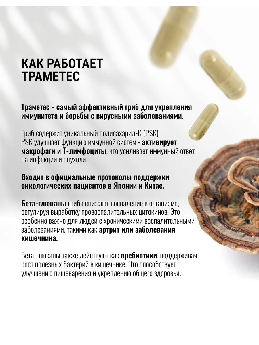 Экстракт Траметеса