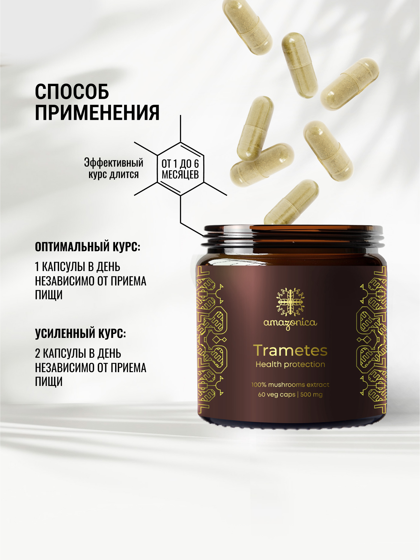 Экстракт Траметеса