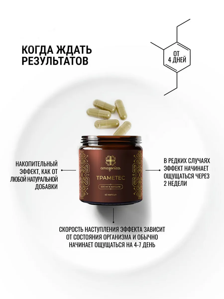 Экстракт Траметеса