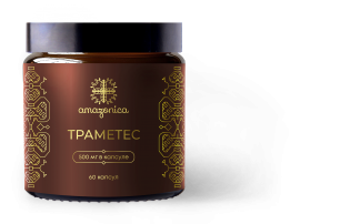 Экстракт Траметеса фото