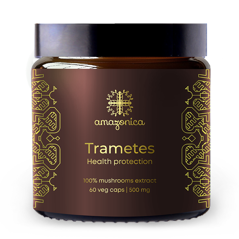 Экстракт Траметеса