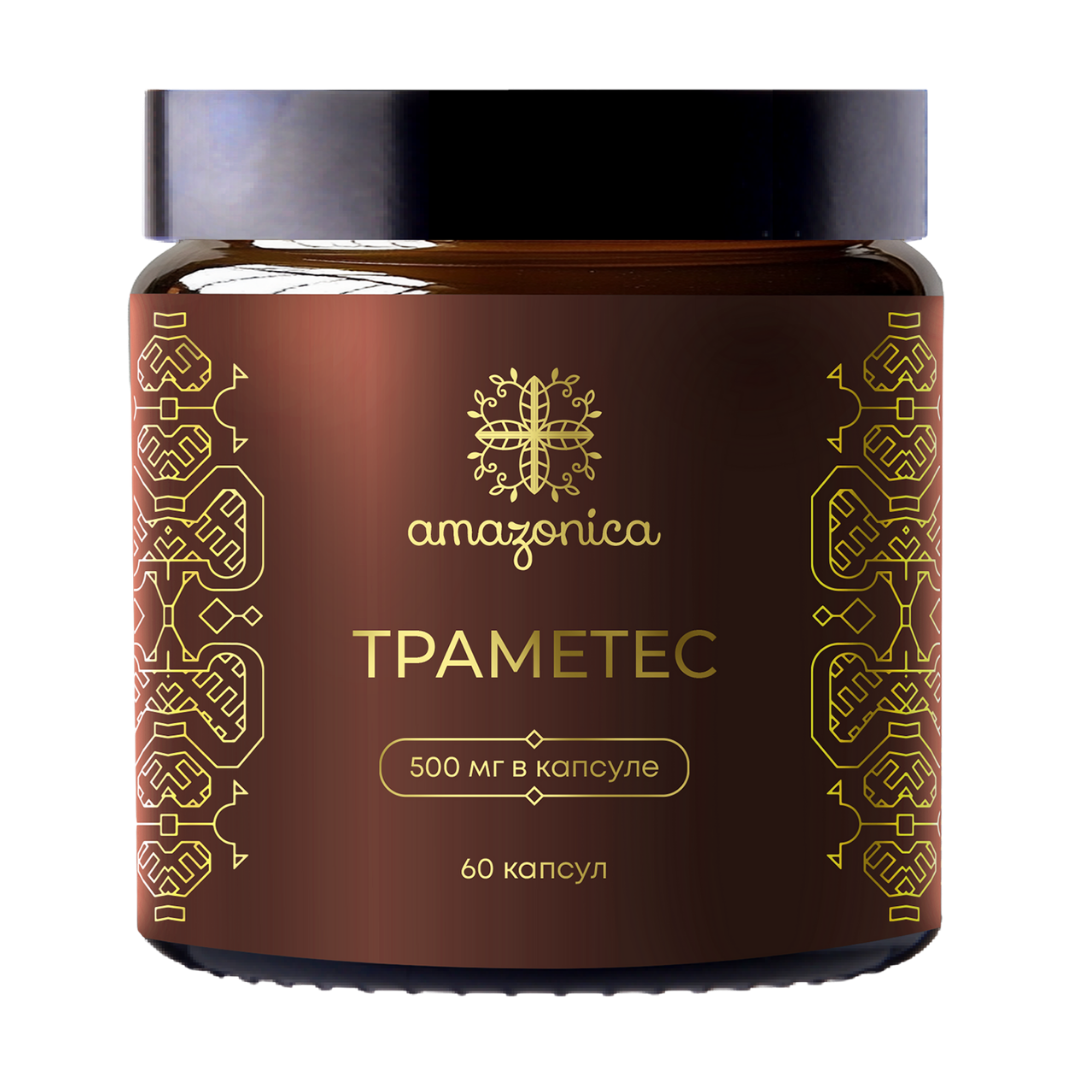 Экстракт Траметеса