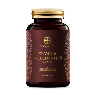 Мицелий Ежовика гребенчатого (в капсулах) фото